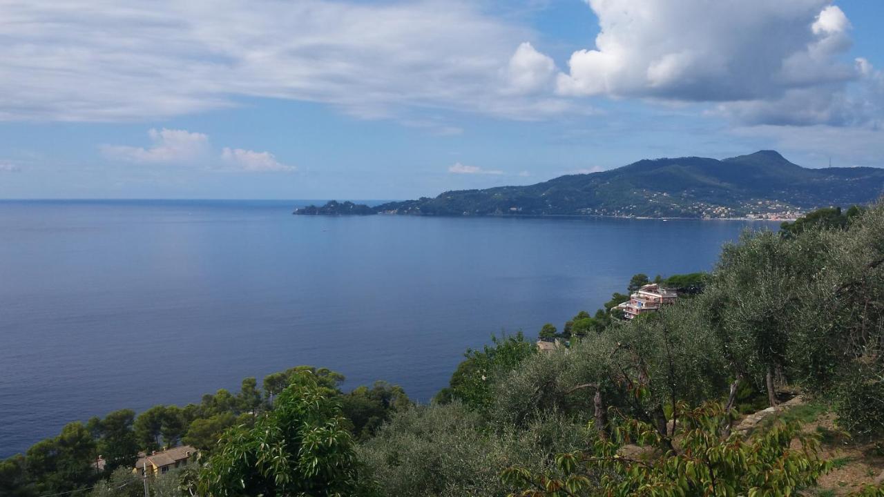 Mare E Vista Portofino - Sea And Portofino View Zoagli Exterior foto